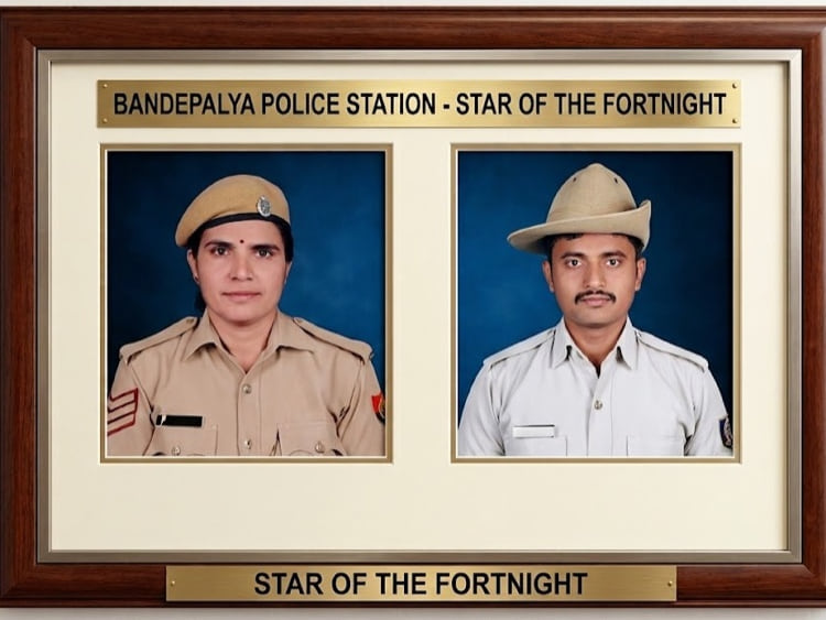 Star of the Fortnight
